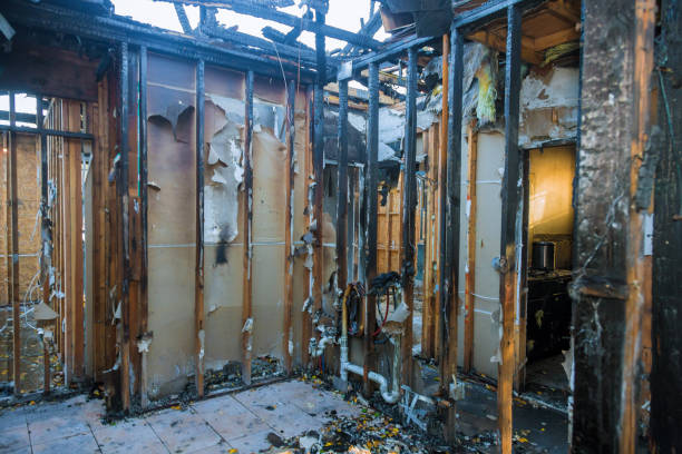Professional Fire Damage Removal technician working in Delta, UT